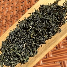 日照綠